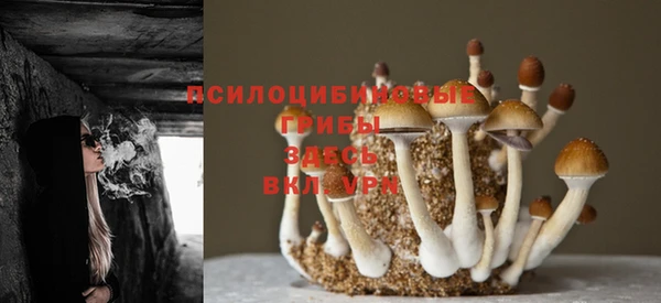 кокаин колумбия Семёнов