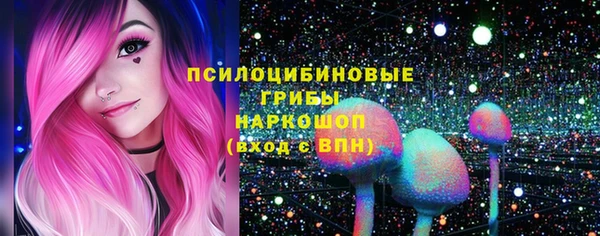 синтетический гашиш Богородицк