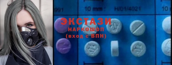 ECSTASY Богданович