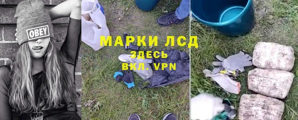 ECSTASY Богданович