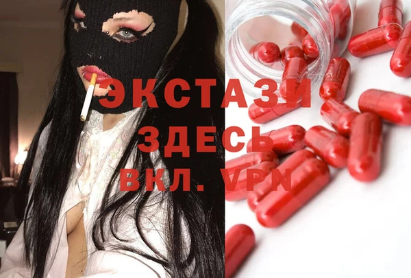 ECSTASY Богданович