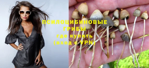 ECSTASY Богданович