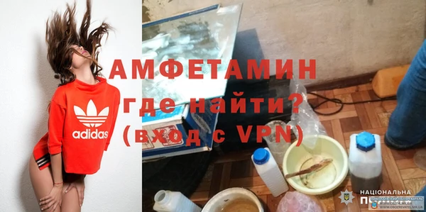 ECSTASY Богданович