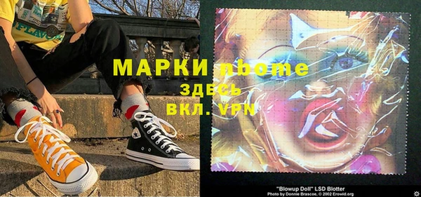 ECSTASY Богданович