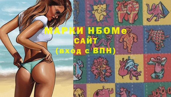 ECSTASY Богданович