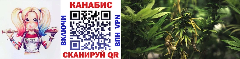 darknet официальный сайт  дарнет шоп  Княгинино  Марихуана VHQ 